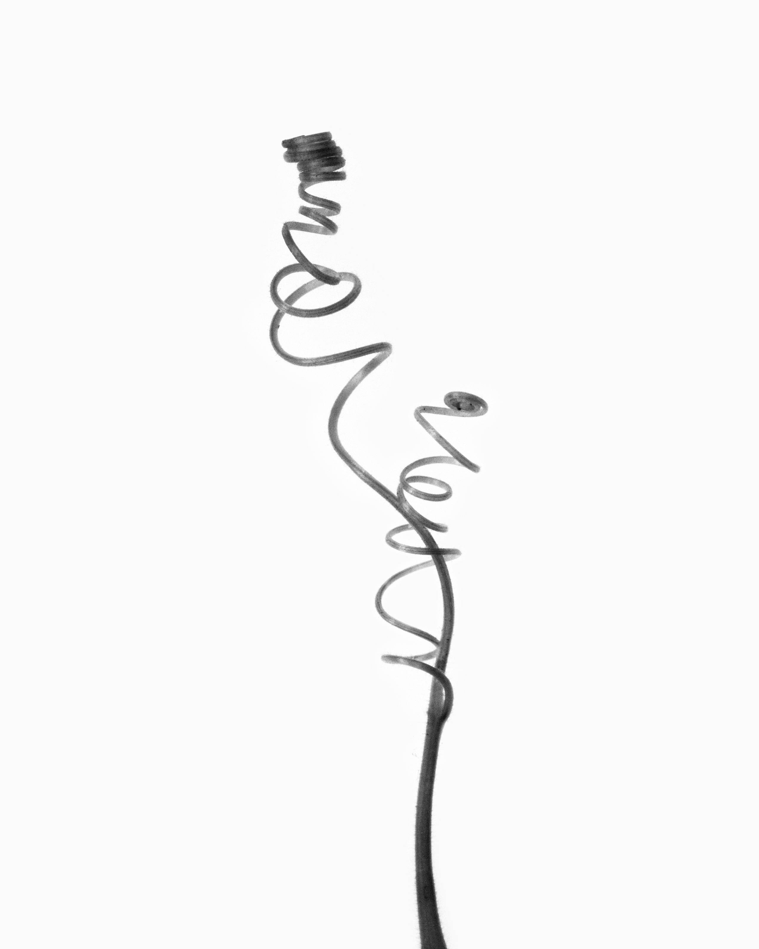 Beom Choi, Breathing Line #012, 2008, black-and-white film photograph